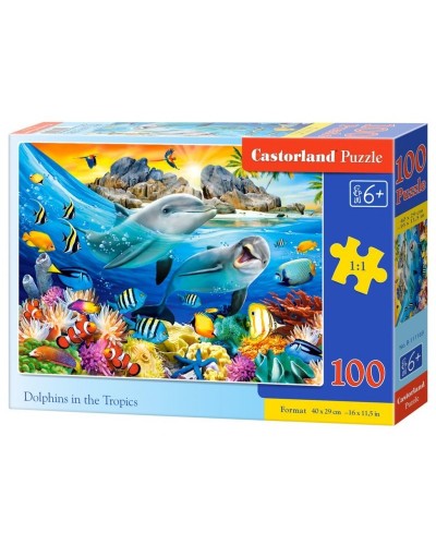 Puzzle 100 dolphins in tropics