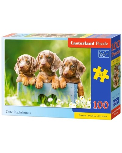 Puzzle 100 cute dachshunds