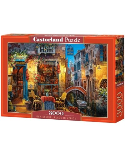 Puzzle place in venice 3000