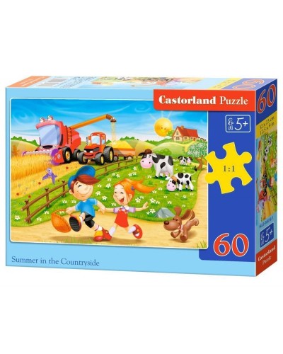 Puzzle 60el.summer countryside